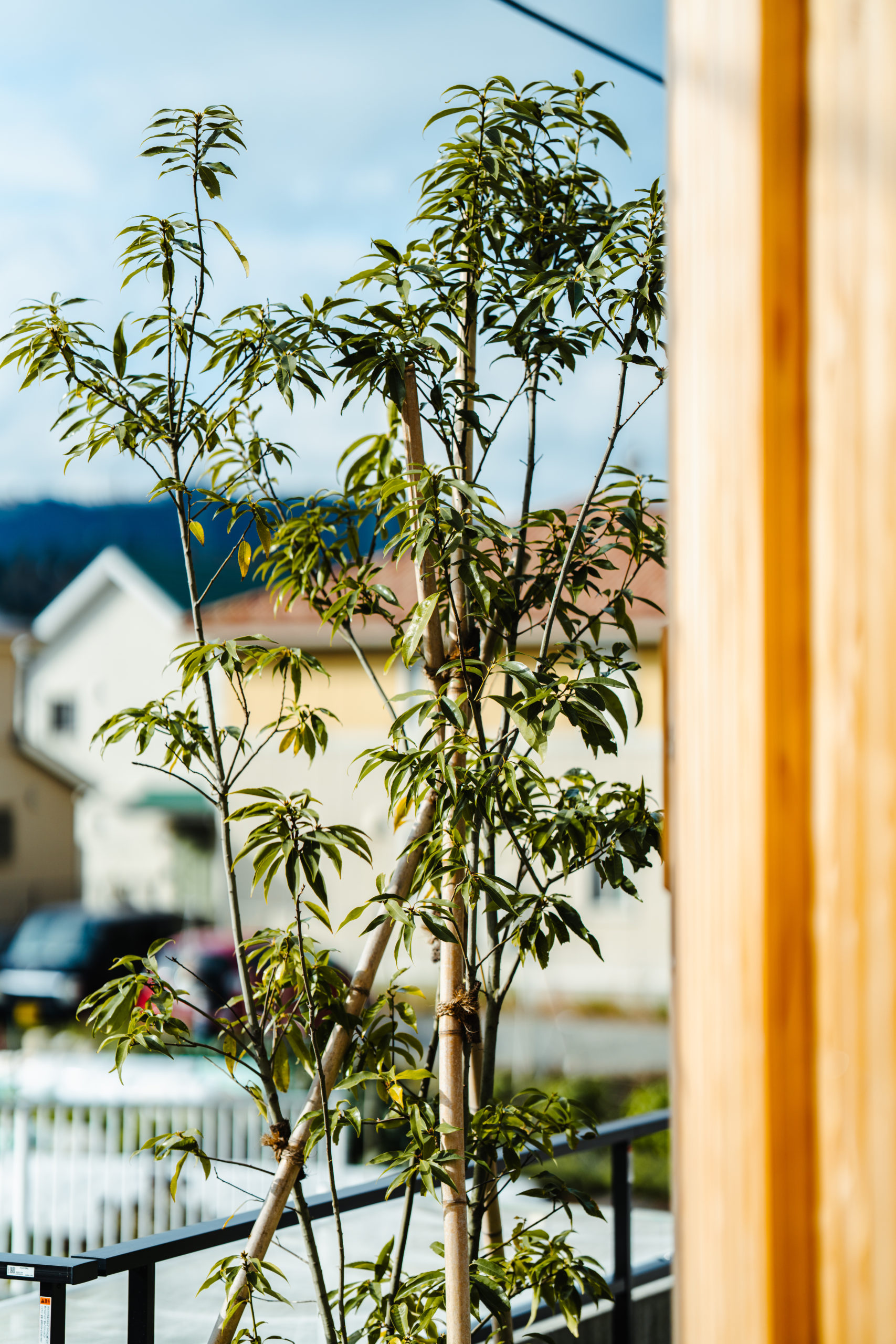 堀西モデルハウス完成-10